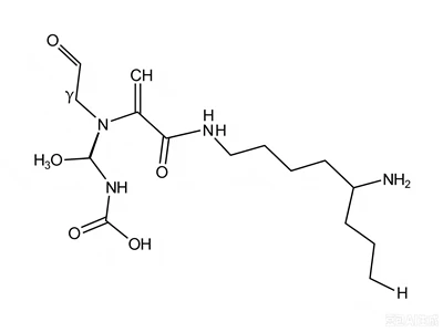CAS:33932-35-3:Glutathionilspermidin